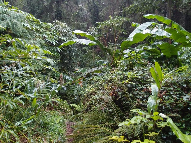 Jungle Garden, Eu, France, France